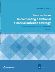 Lessons from Implementing a National Financial Inclusion Strategy 